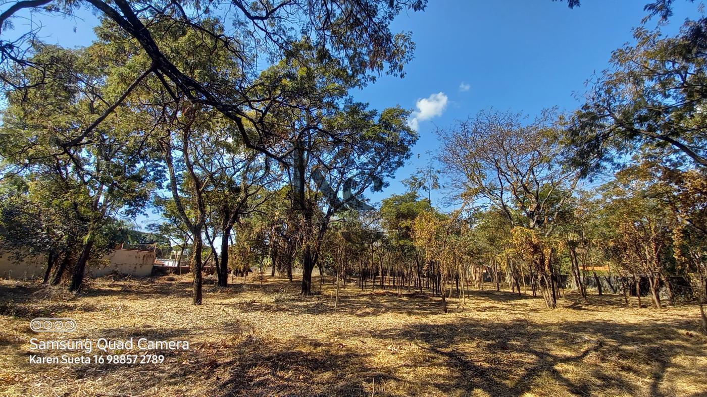 Fazenda à venda, 5850m² - Foto 8