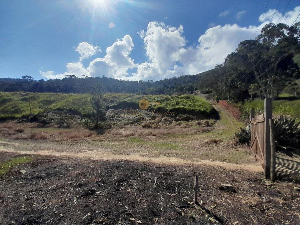 Fazenda à venda com 5 quartos, 122000m² - Foto 33