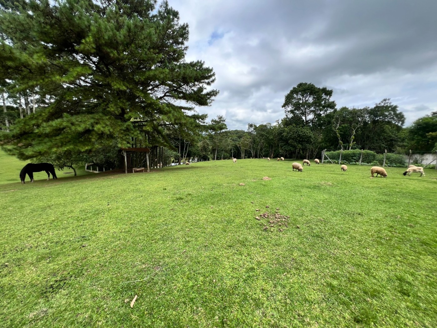 Fazenda à venda, 24200m² - Foto 12