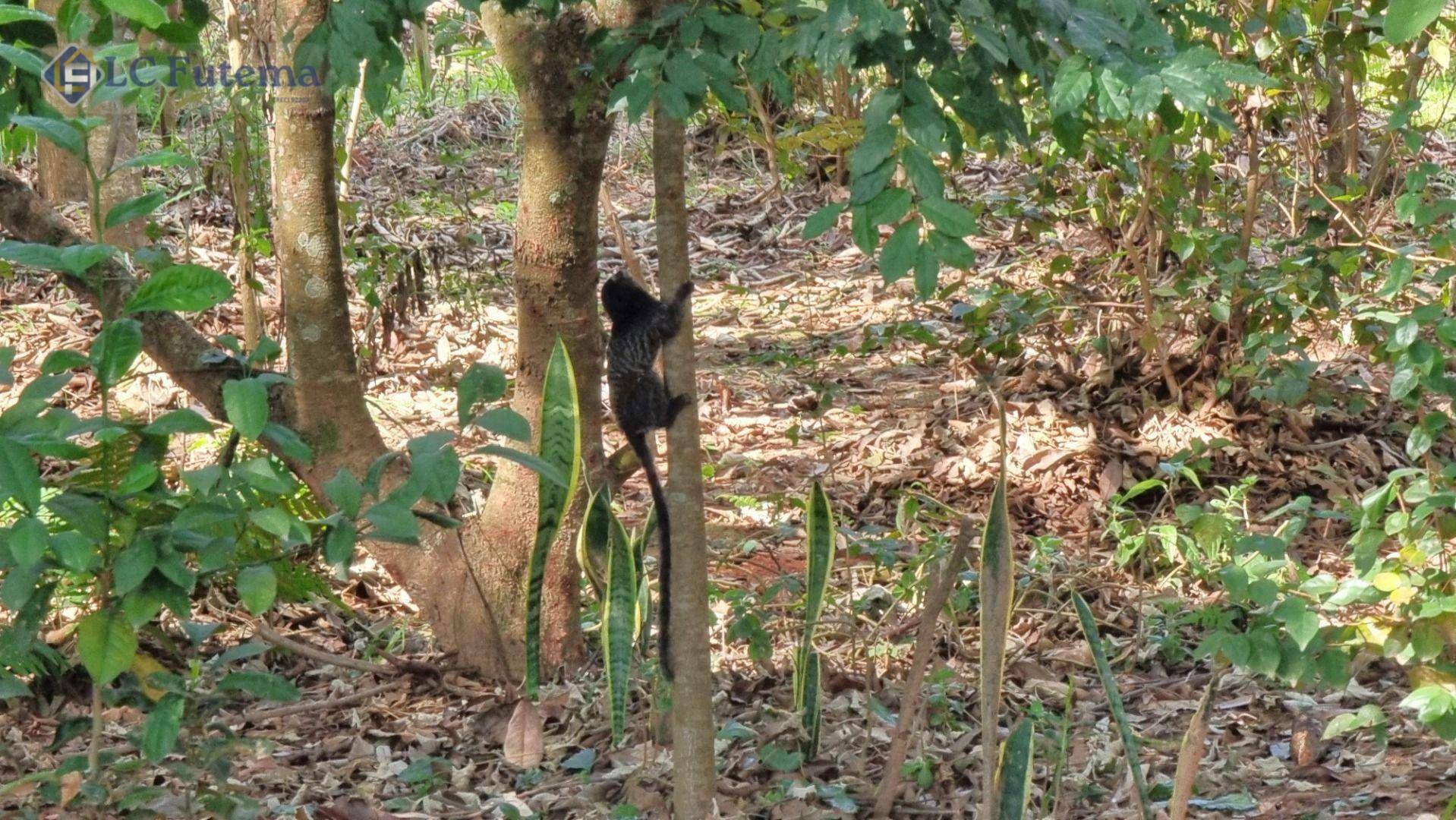 Loteamento e Condomínio à venda, 500M2 - Foto 23