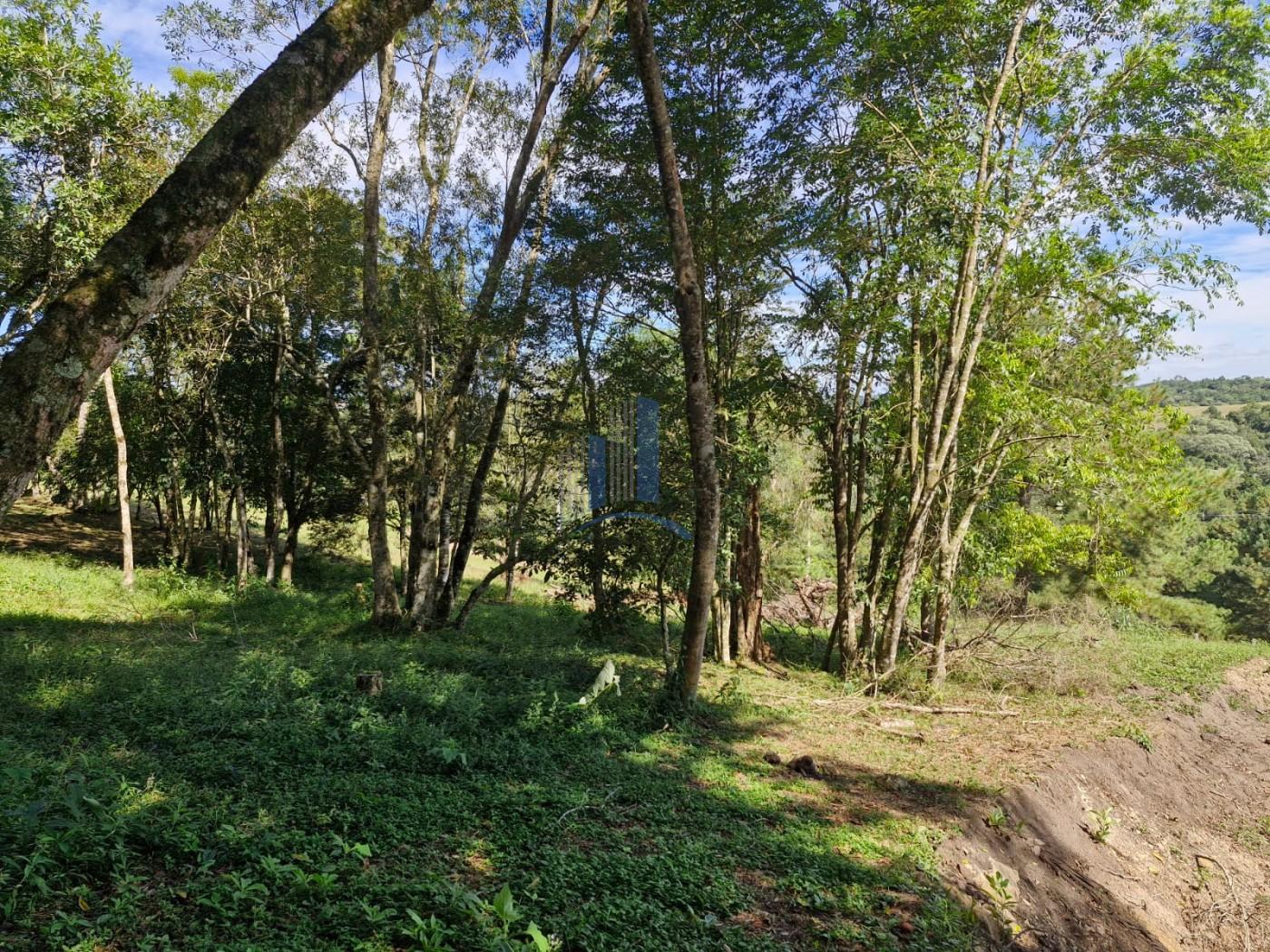 Terreno à venda, 1000m² - Foto 10