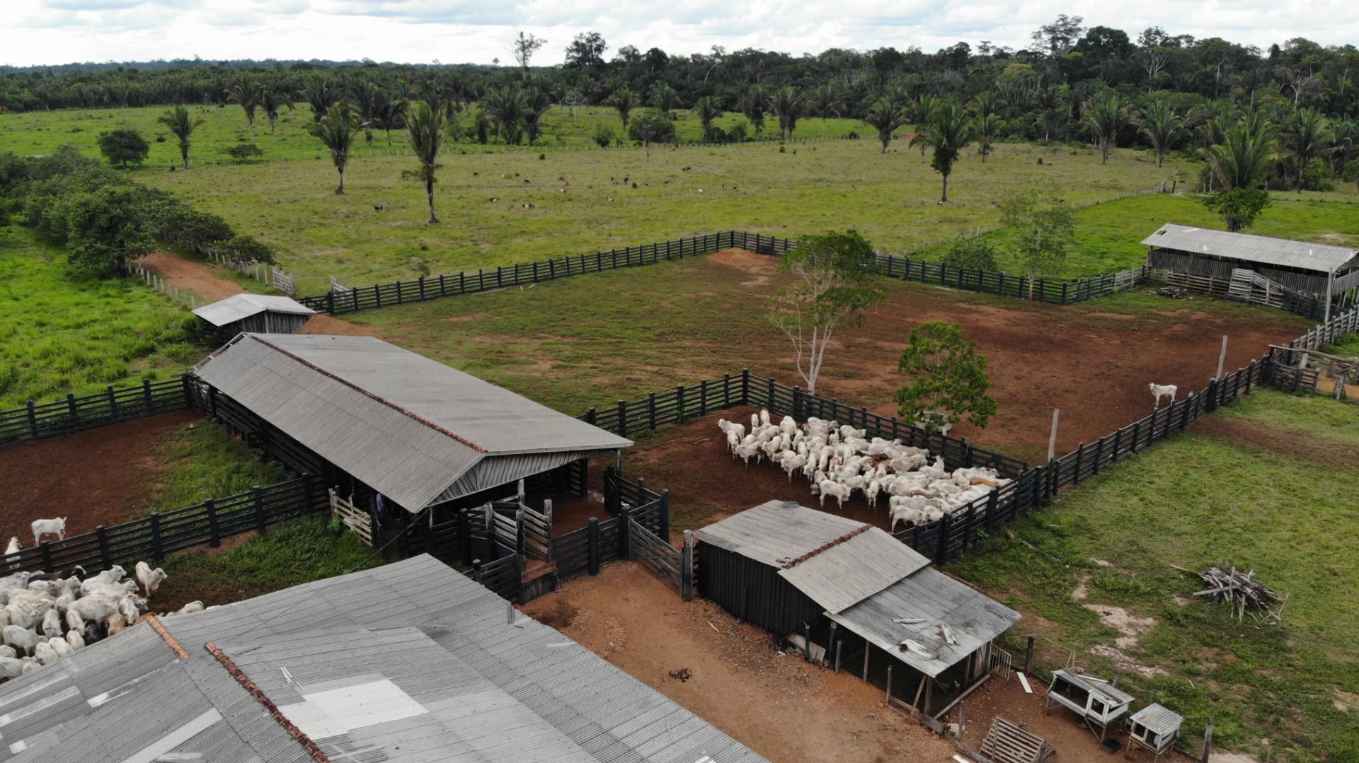 Fazenda à venda, 4840000M2 - Foto 7