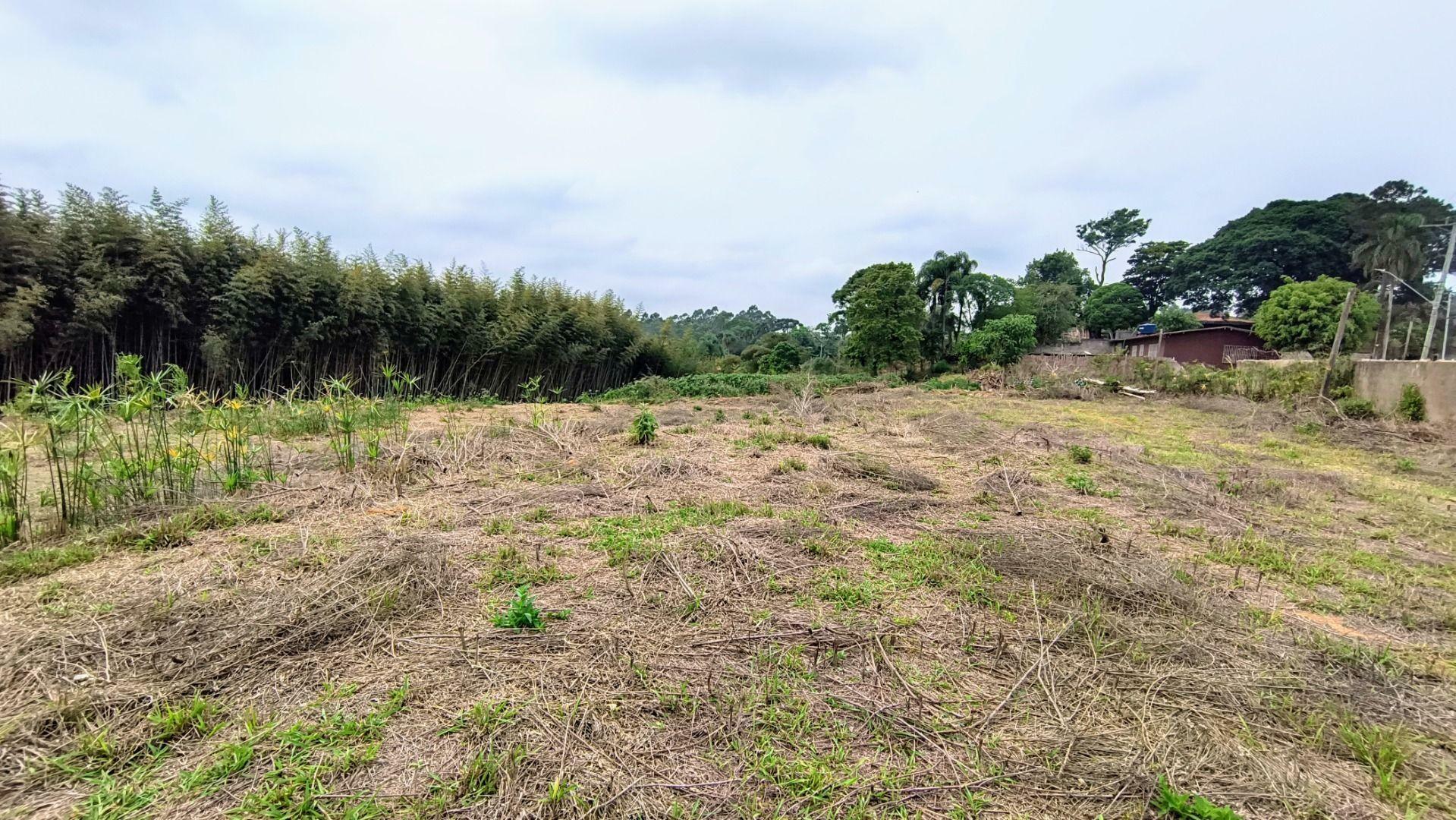 Terreno à venda, 2459M2 - Foto 1