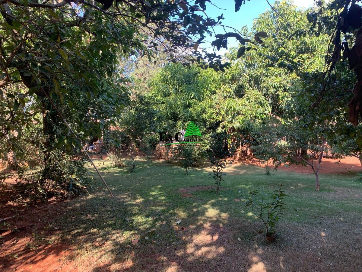 Fazenda à venda com 3 quartos, 1630m² - Foto 57