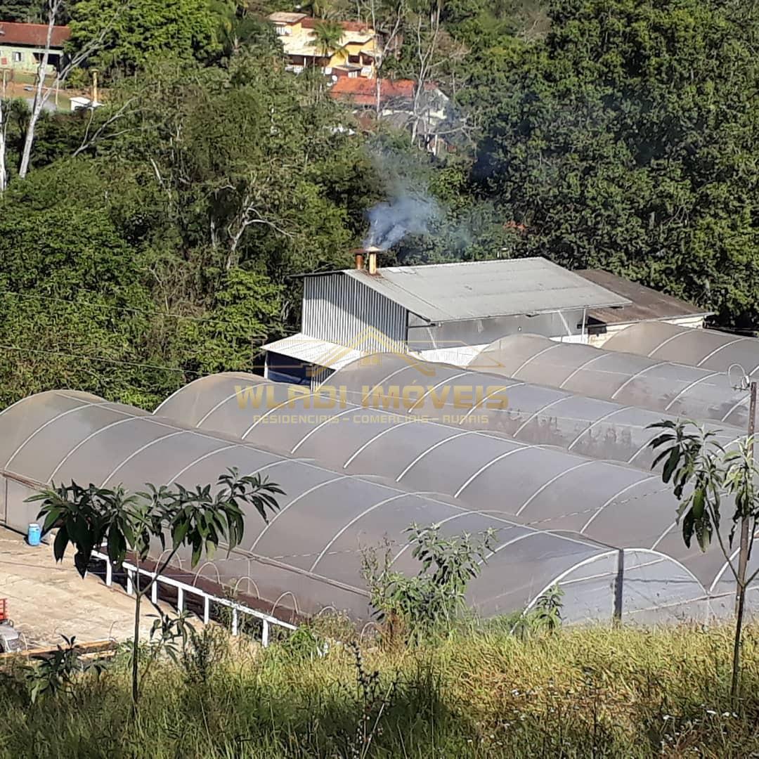 Fazenda-Sítio-Chácara, 20 m² - Foto 2