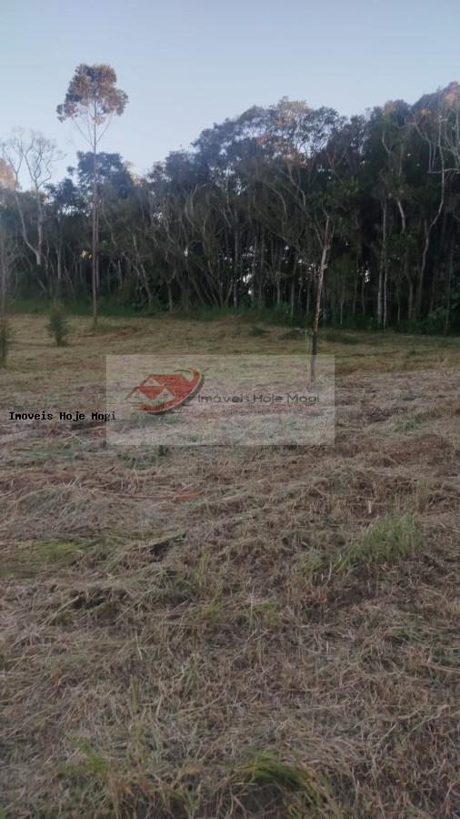 Terreno à venda, 5000m² - Foto 1