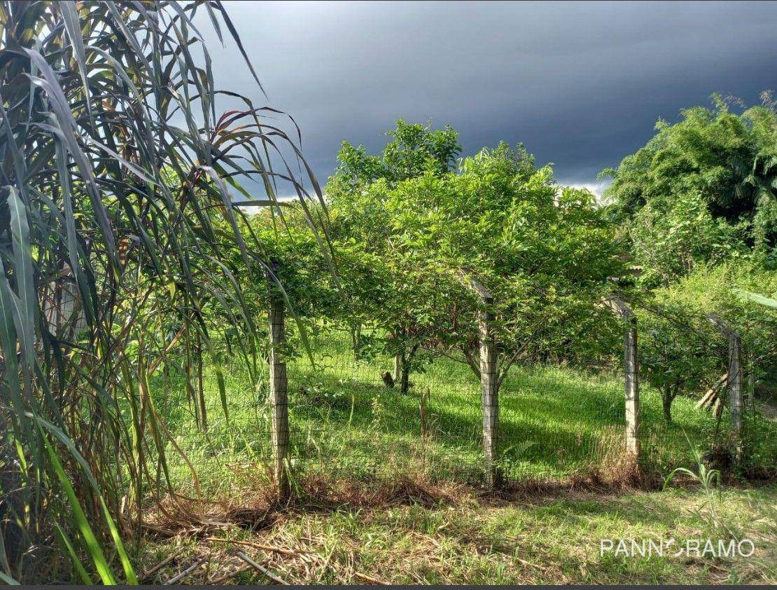 Terreno, 7208 m² - Foto 8