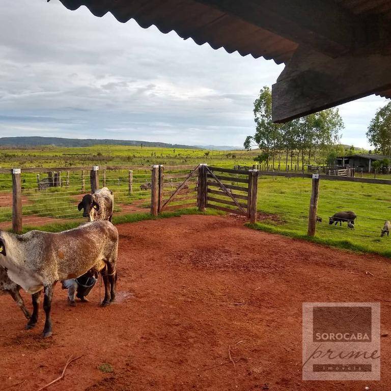 Fazenda-Sítio-Chácara, 4356 hectares - Foto 3