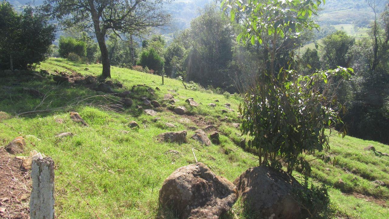 Loteamento e Condomínio à venda, 30000m² - Foto 4