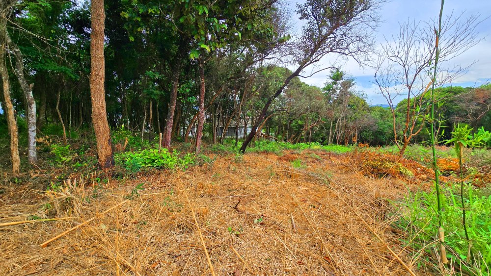 Terreno à venda, 2855m² - Foto 17