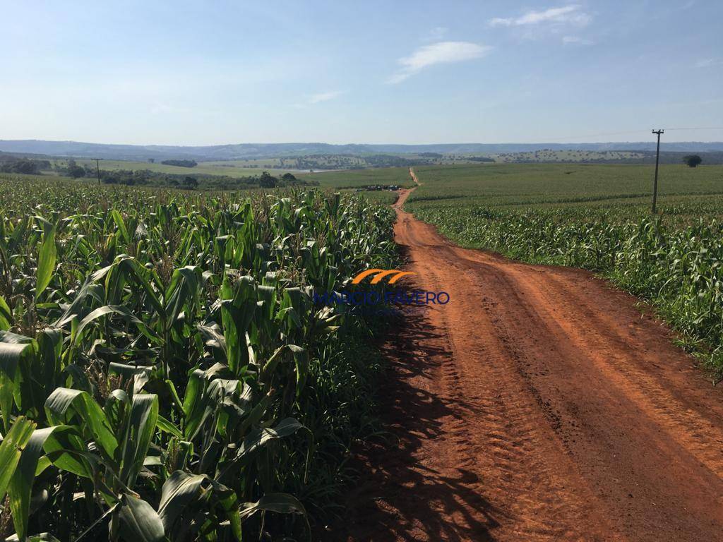 Fazenda, 266 hectares - Foto 5