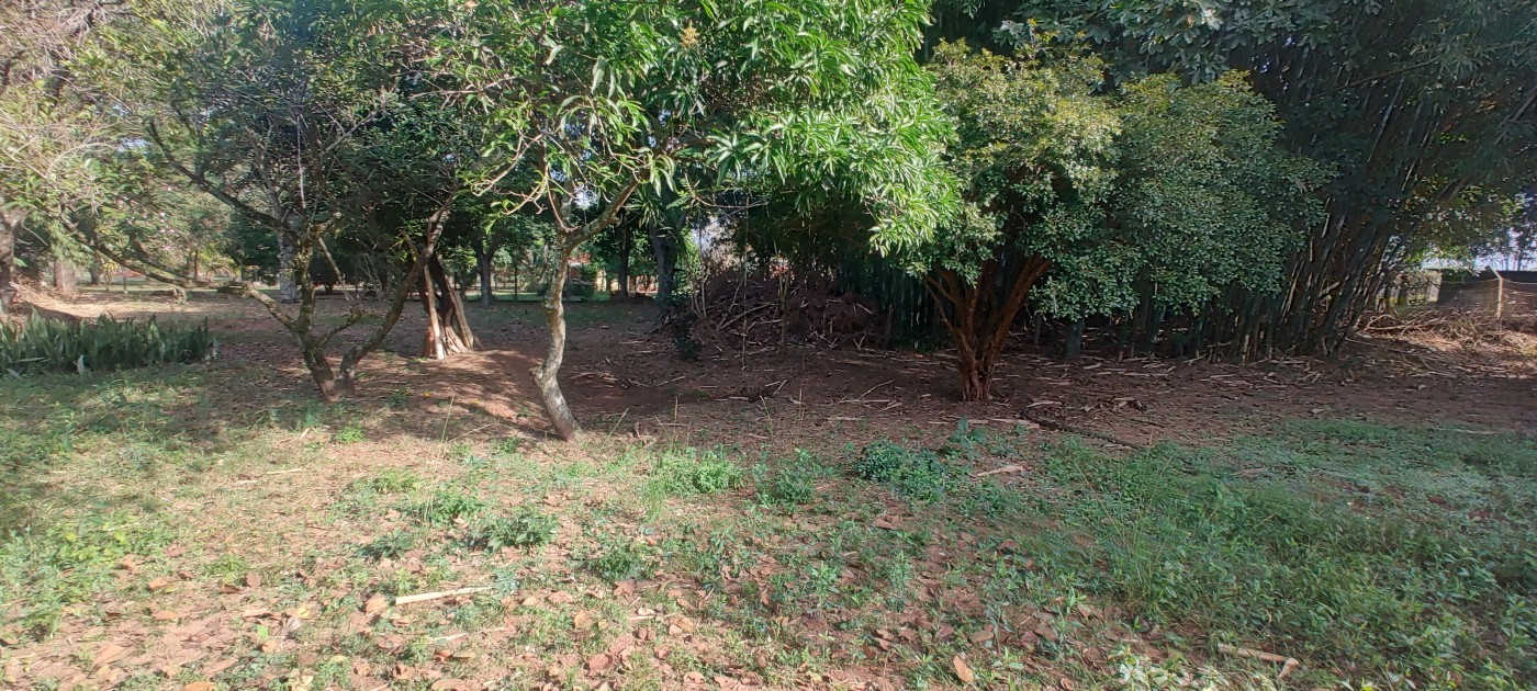 Chácara à venda com 4 quartos, 6670m² - Foto 57