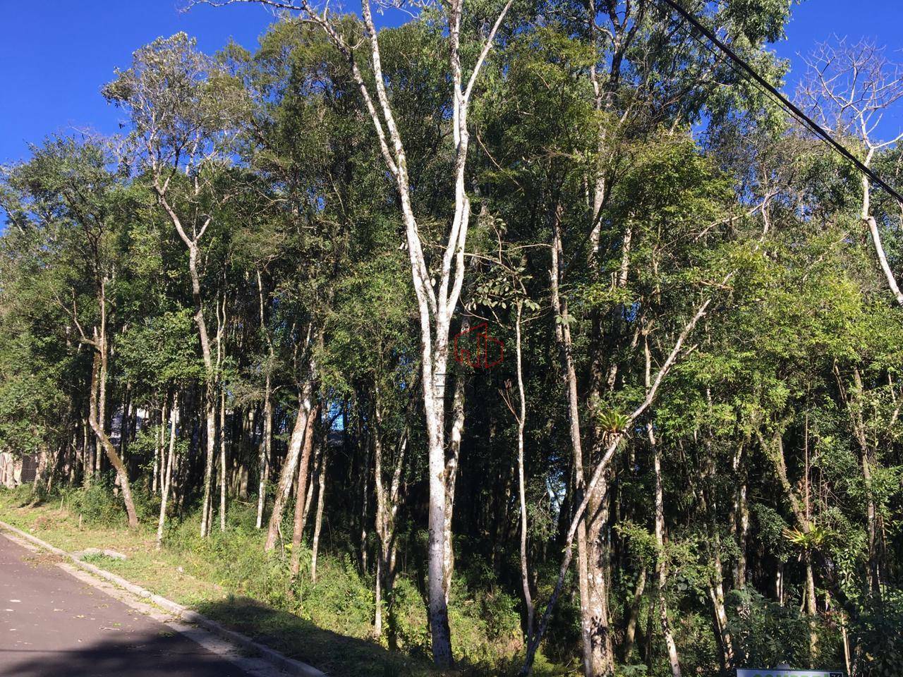 Loteamento e Condomínio à venda, 805M2 - Foto 2