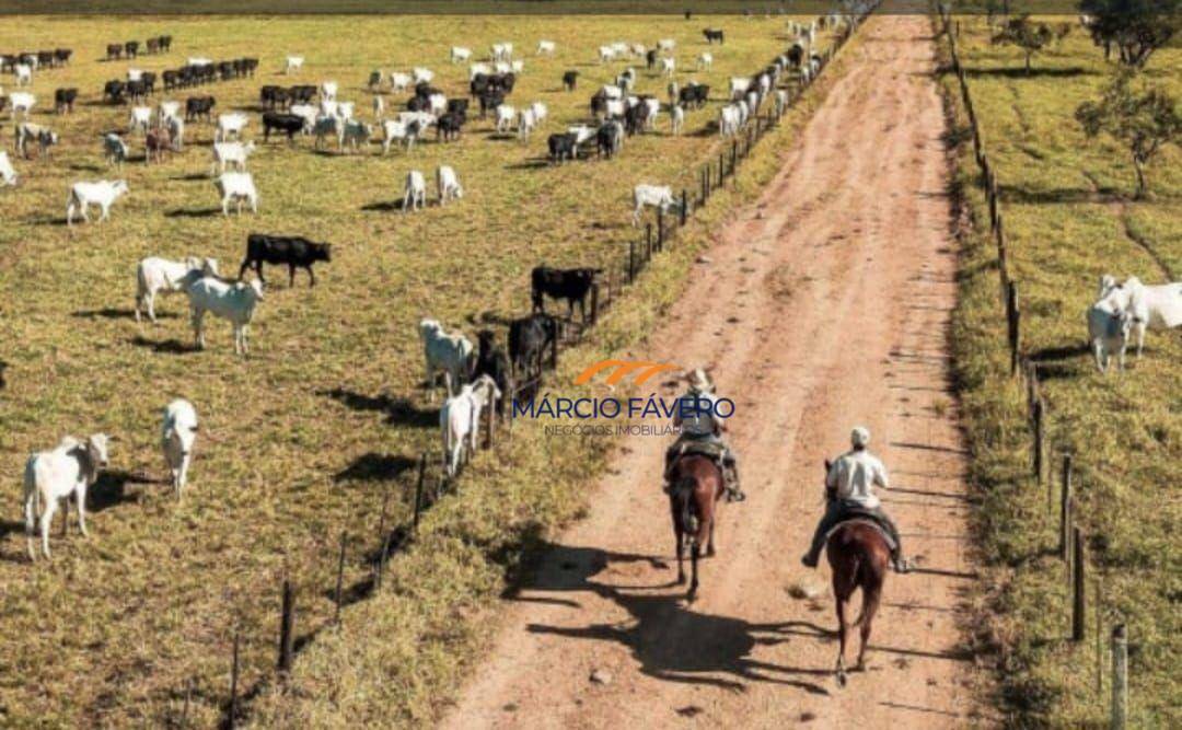 Fazenda à venda, 10841600M2 - Foto 9