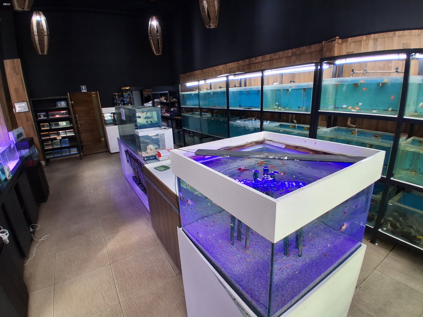 Prédio Inteiro - Foto 12