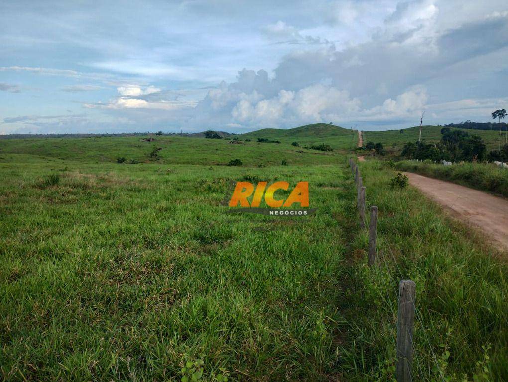 Fazenda-Sítio-Chácara, 3937 hectares - Foto 3