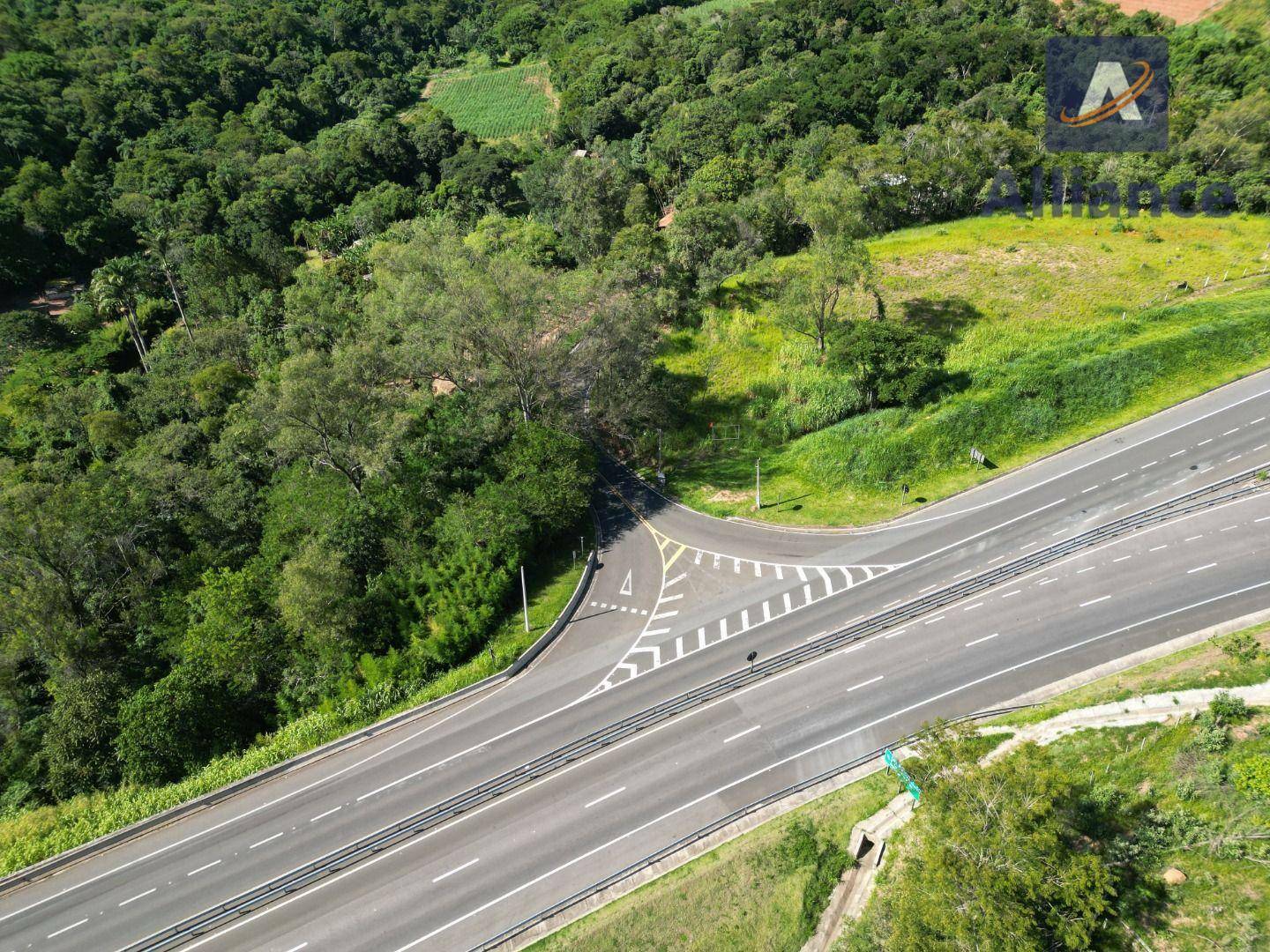 Terreno, 3 hectares - Foto 12