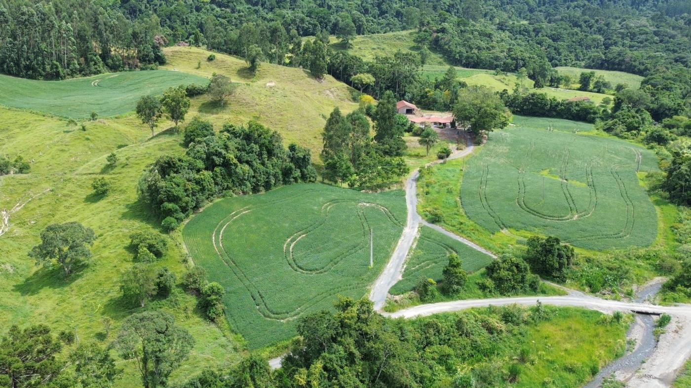 Fazenda à venda com 5 quartos, 450000m² - Foto 8