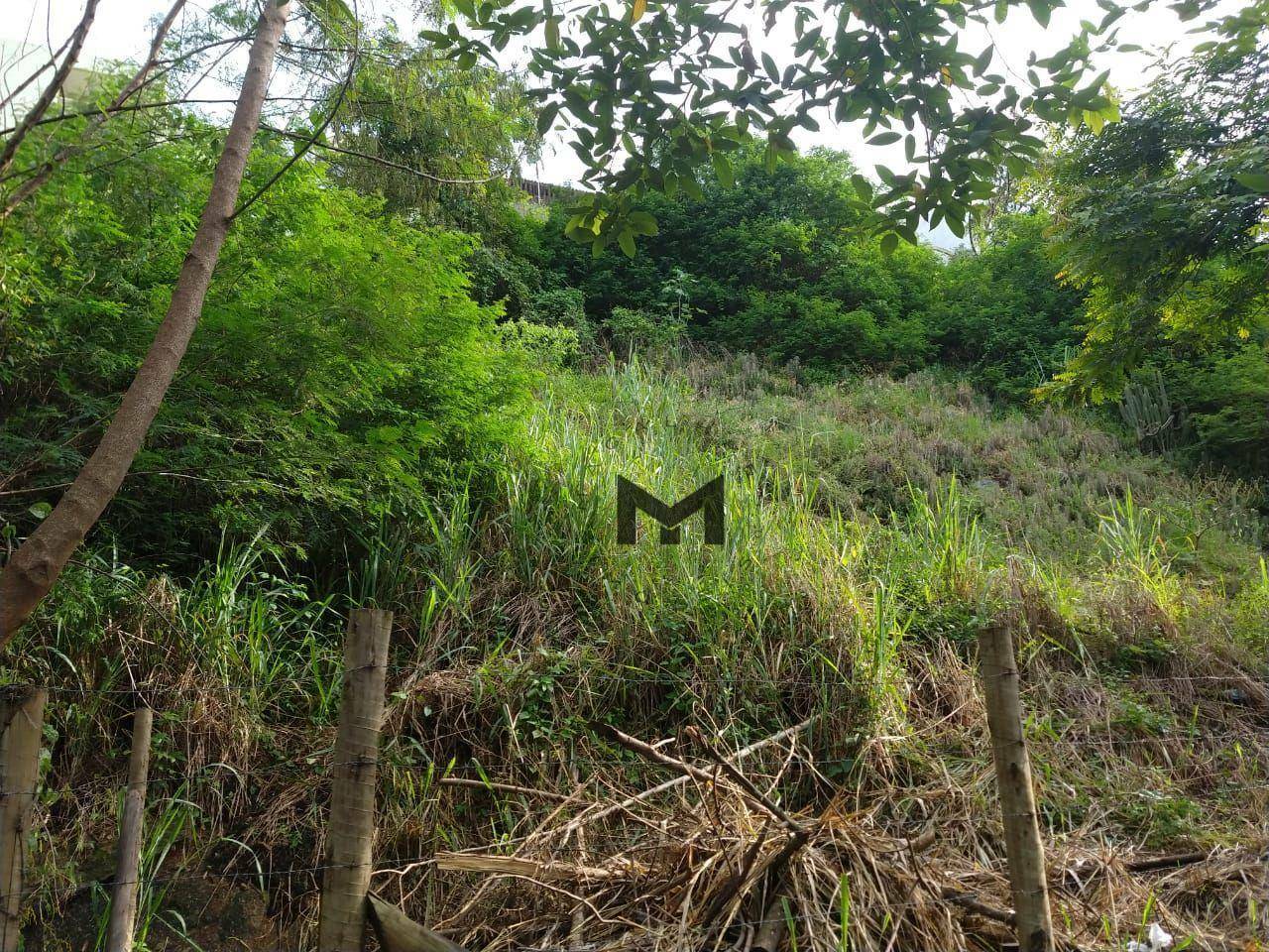 Terreno à venda, 450M2 - Foto 3