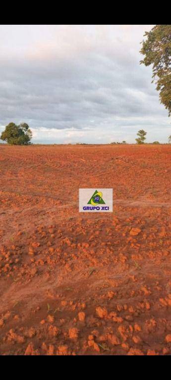 Fazenda à venda, 10000000M2 - Foto 7