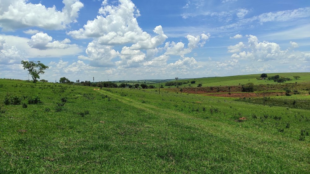 Fazenda à venda, 13m² - Foto 5