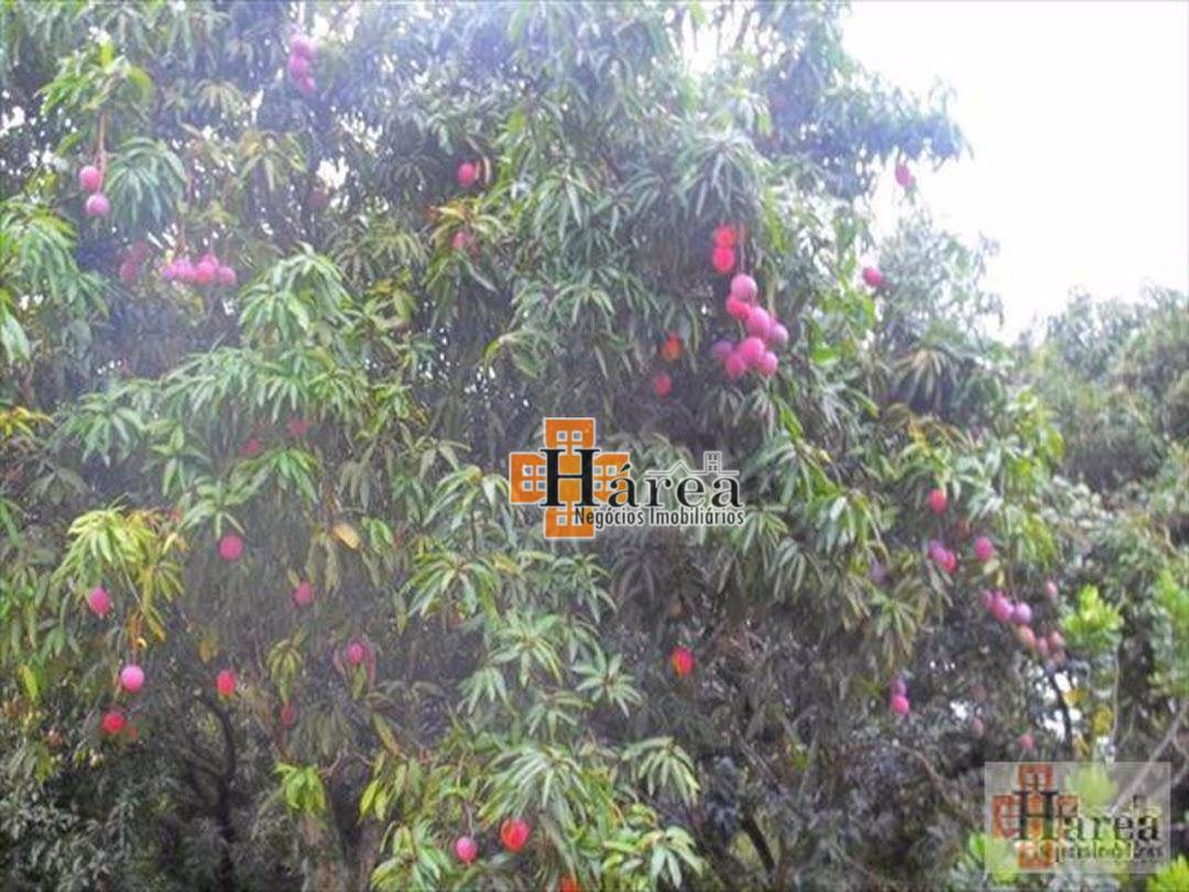 Chácara à venda com 2 quartos, 1M2 - Foto 7