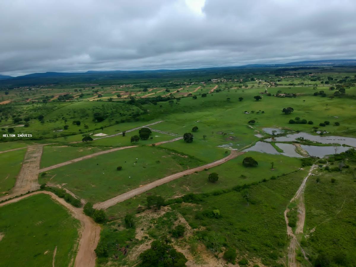 Fazenda à venda, 1000m² - Foto 3