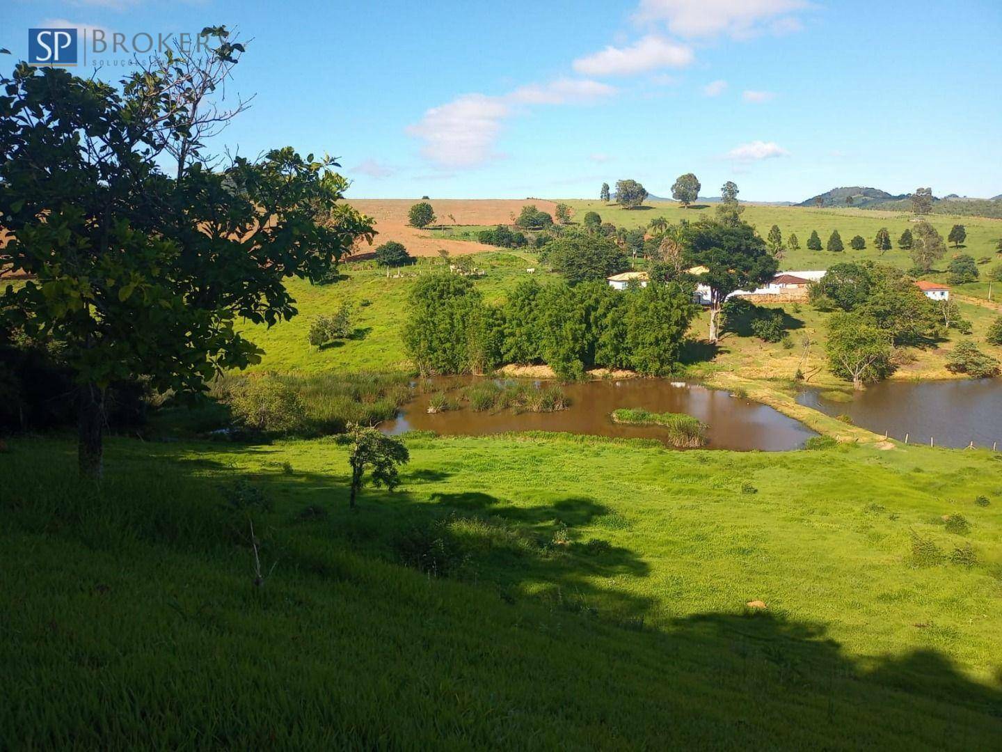 Fazenda à venda com 4 quartos, 400m² - Foto 10