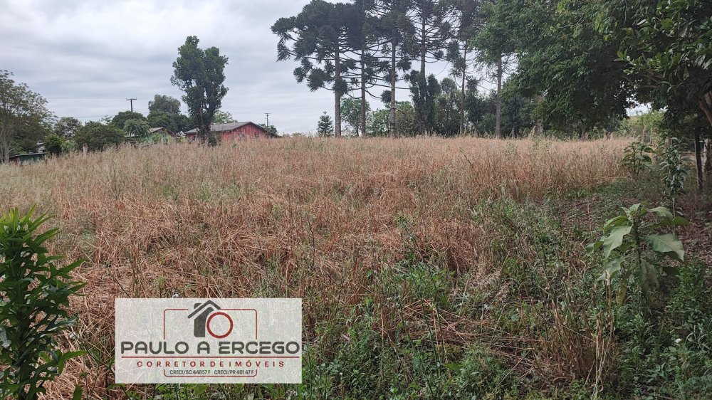 Fazenda à venda com 1 quarto, 1780m² - Foto 6