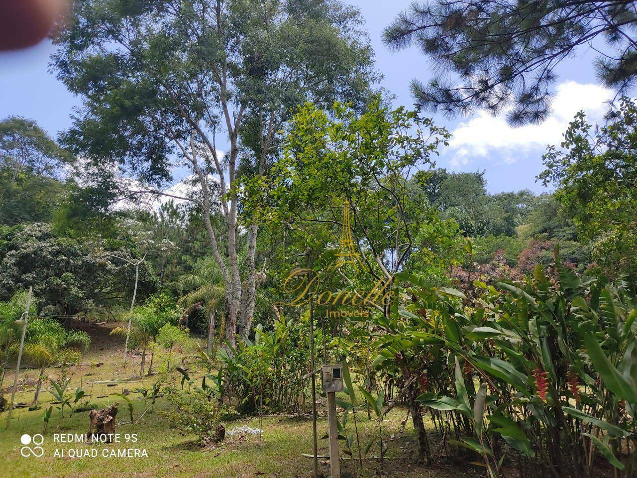 Chácara à venda com 2 quartos, 14M2 - Foto 8