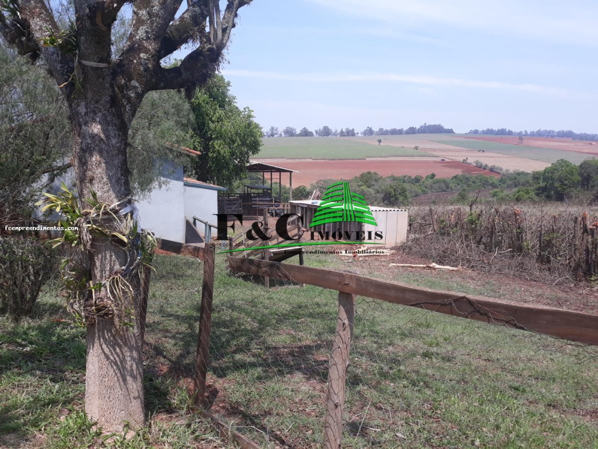 Fazenda à venda com 4 quartos, 27000m² - Foto 13