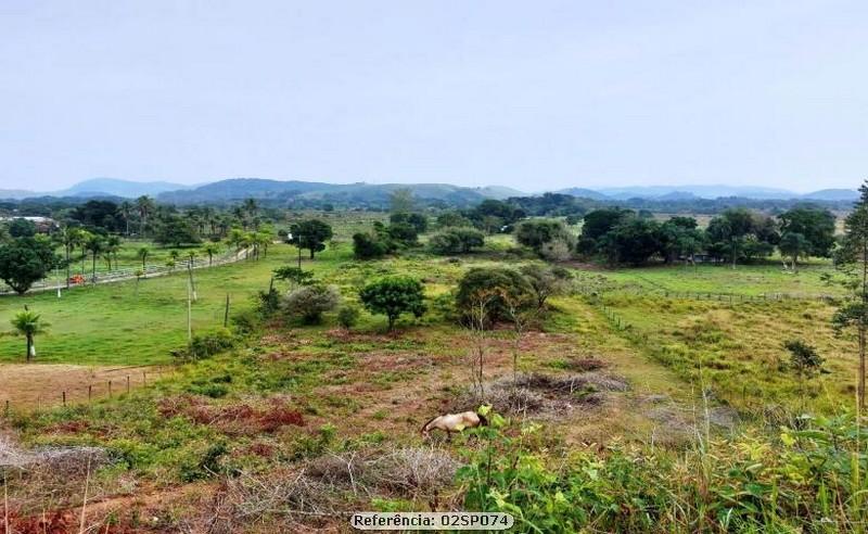 Fazenda à venda com 3 quartos, 41000m² - Foto 6