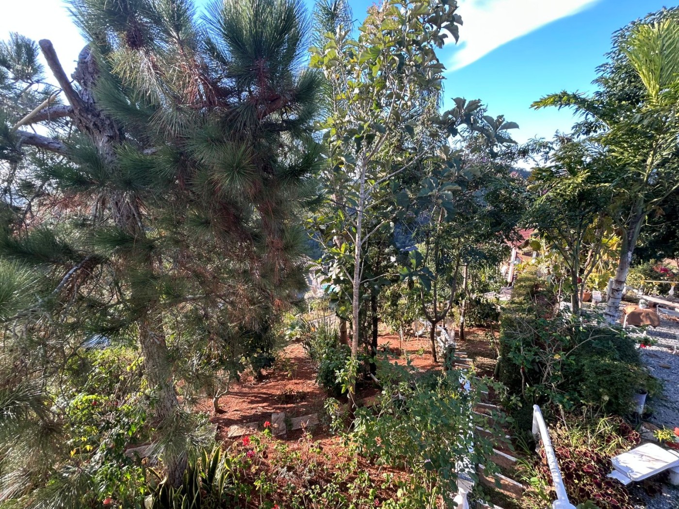 Casa de Condomínio à venda com 4 quartos, 250m² - Foto 21