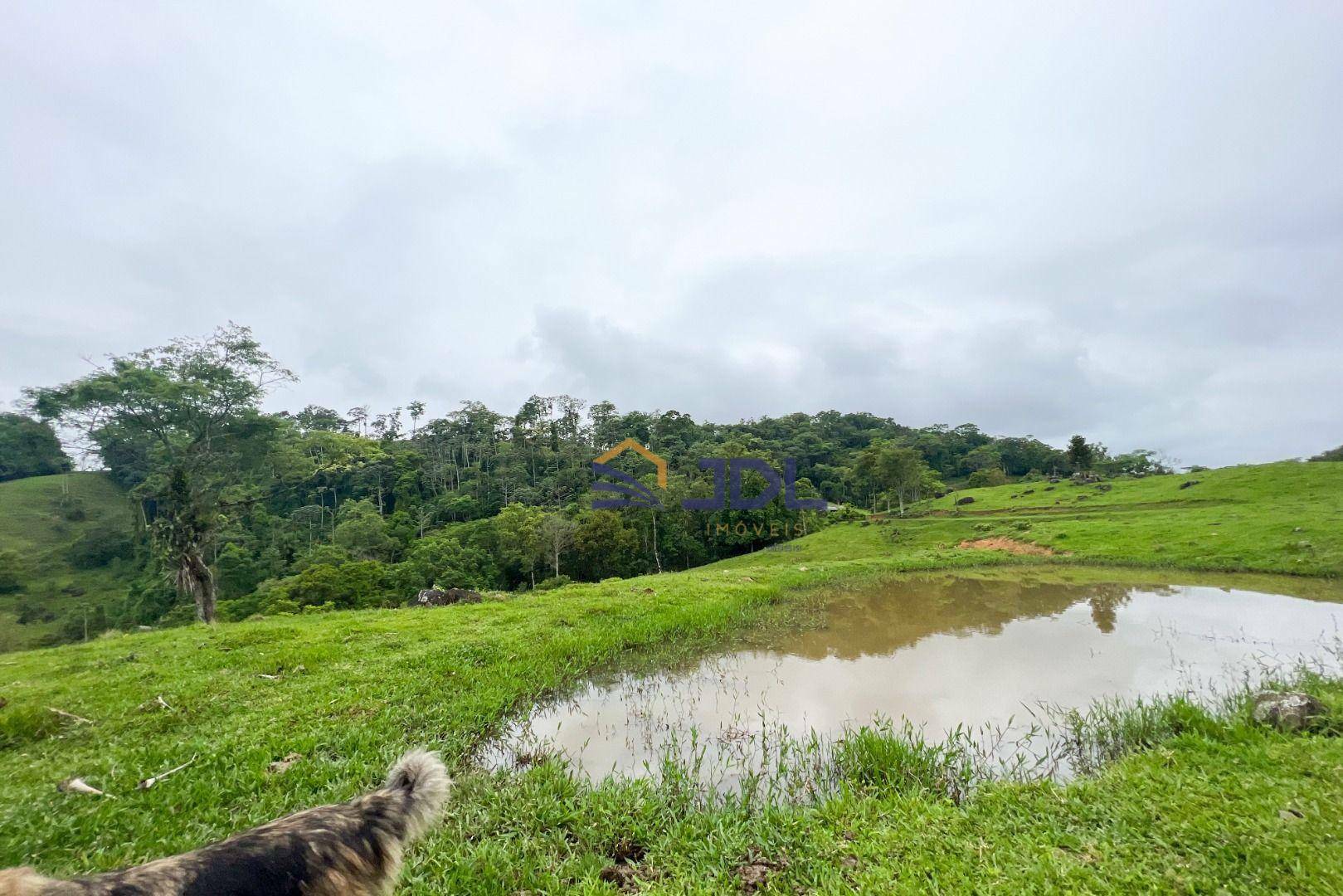 Sítio à venda com 3 quartos, 230000M2 - Foto 25