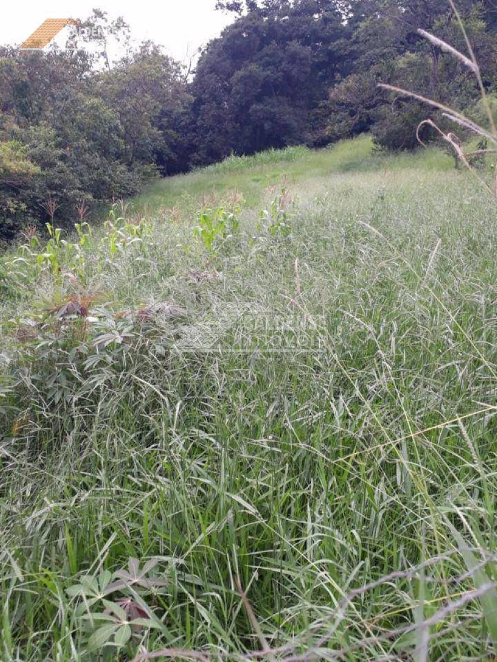 Chácara, 3 hectares - Foto 1