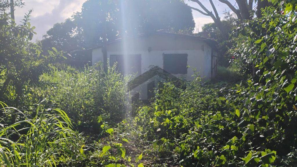 Terreno, 2000 m² - Foto 13