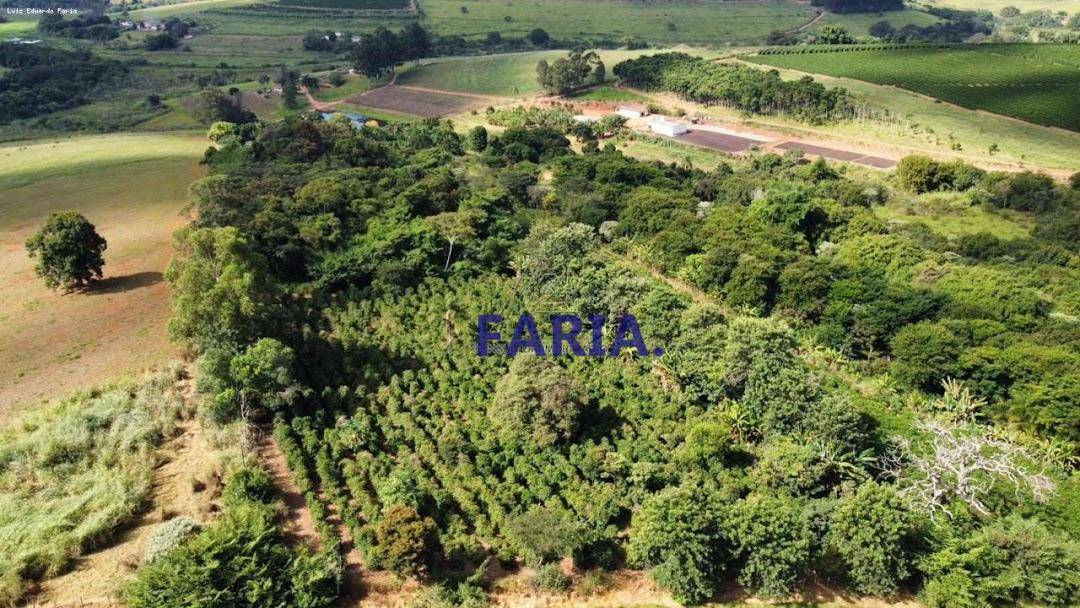 Chácara à venda com 4 quartos, 83300M2 - Foto 8