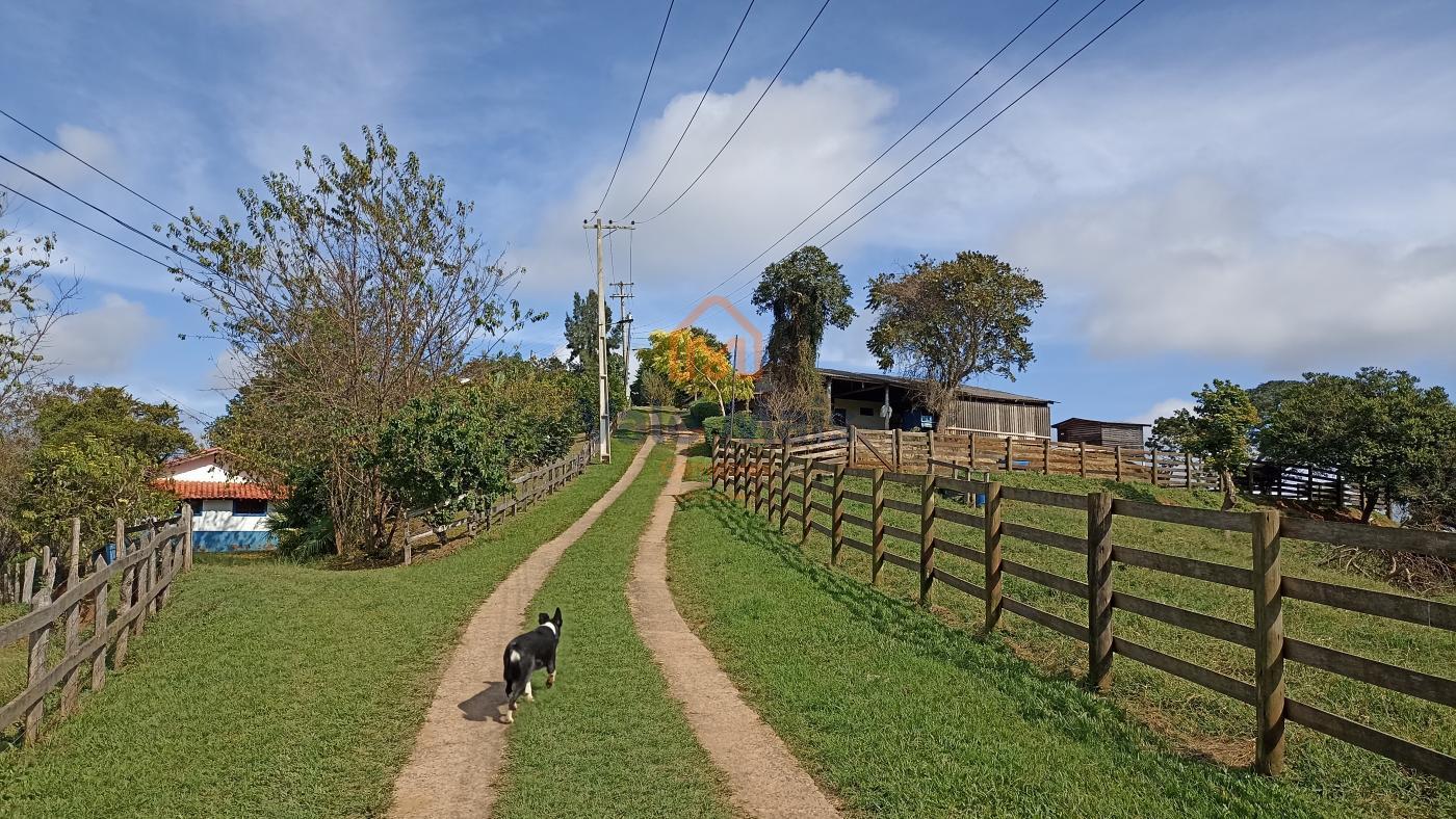 Fazenda à venda com 9 quartos, 72000m² - Foto 16