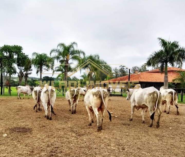 Fazenda à venda, 1086m² - Foto 15