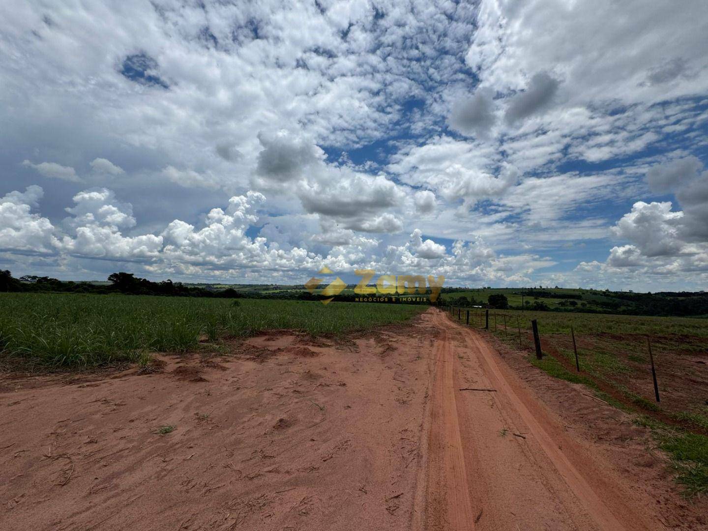 Sítio, 36 hectares - Foto 3