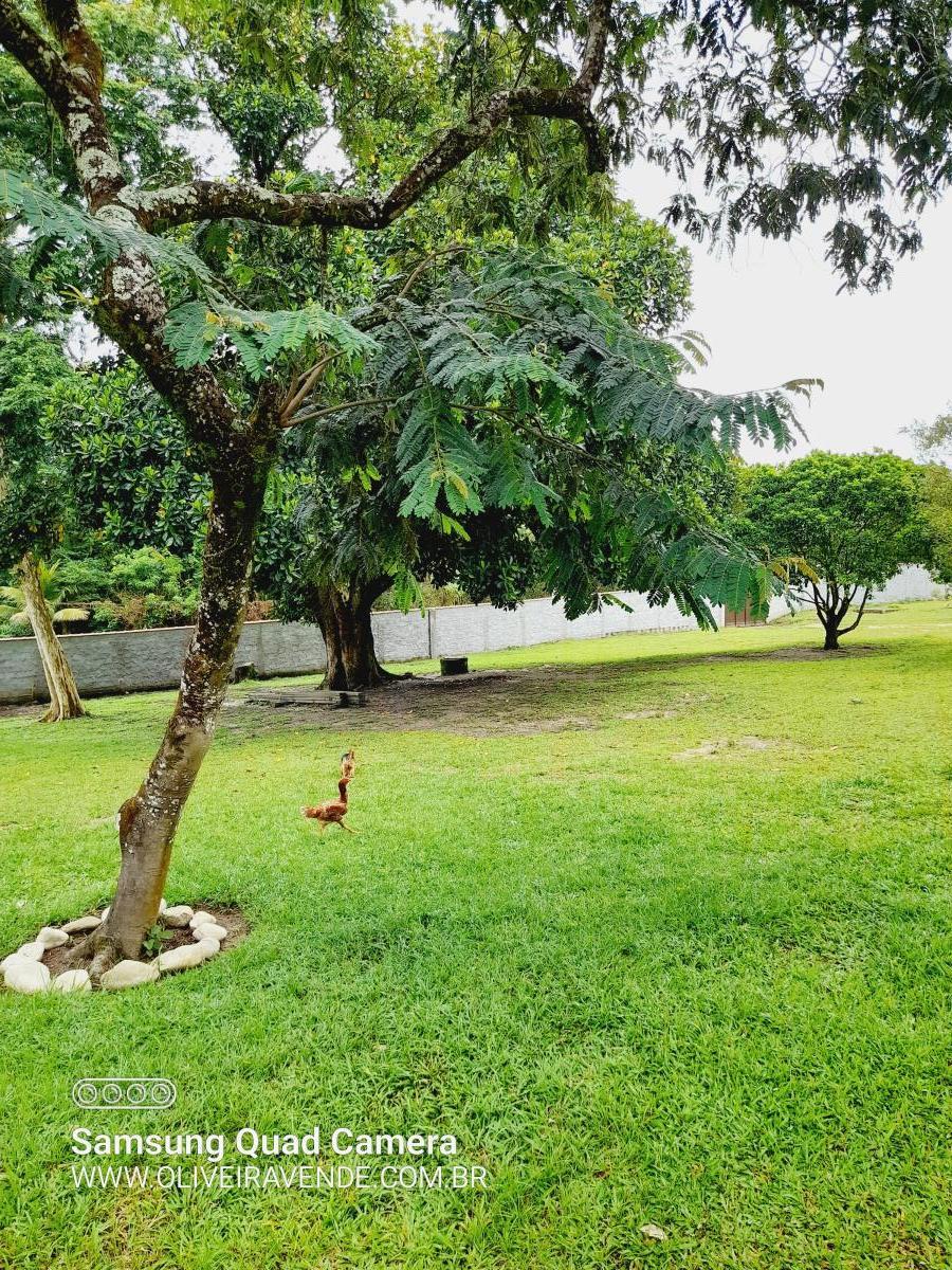 Fazenda à venda com 3 quartos, 20000m² - Foto 3