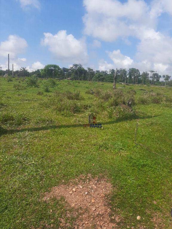 Fazenda à venda com 1 quarto, 3533200M2 - Foto 10