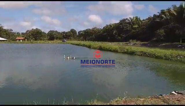 Fazenda à venda com 2 quartos, 300000M2 - Foto 7