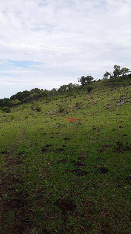 Fazenda à venda, 203M2 - Foto 7
