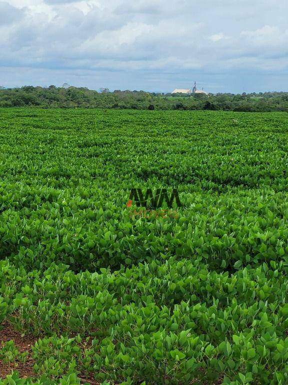 Fazenda à venda, 5130400M2 - Foto 3