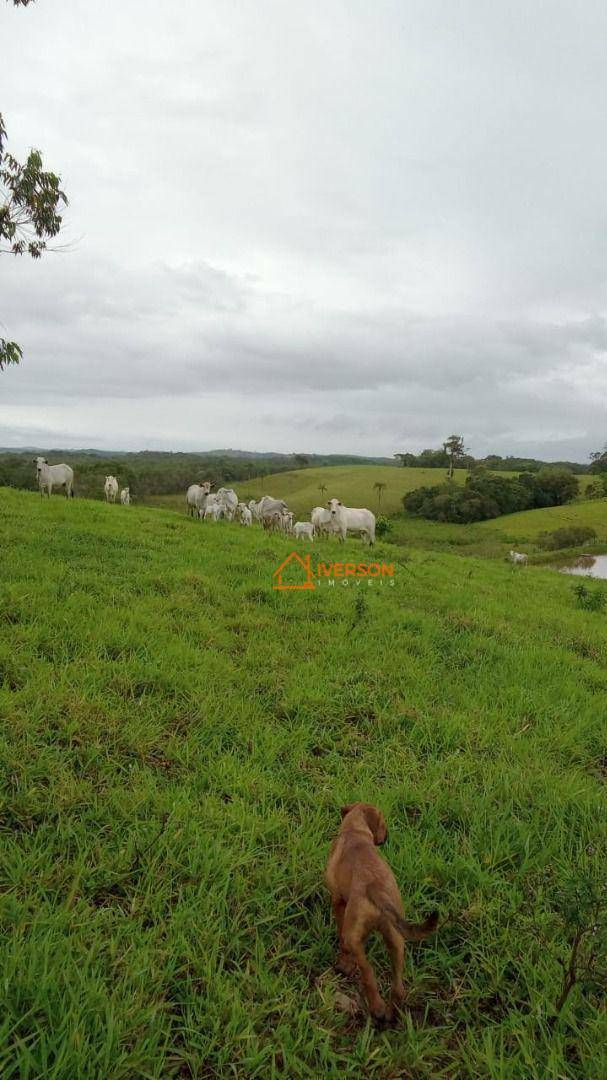 Fazenda à venda com 2 quartos, 2662000M2 - Foto 15