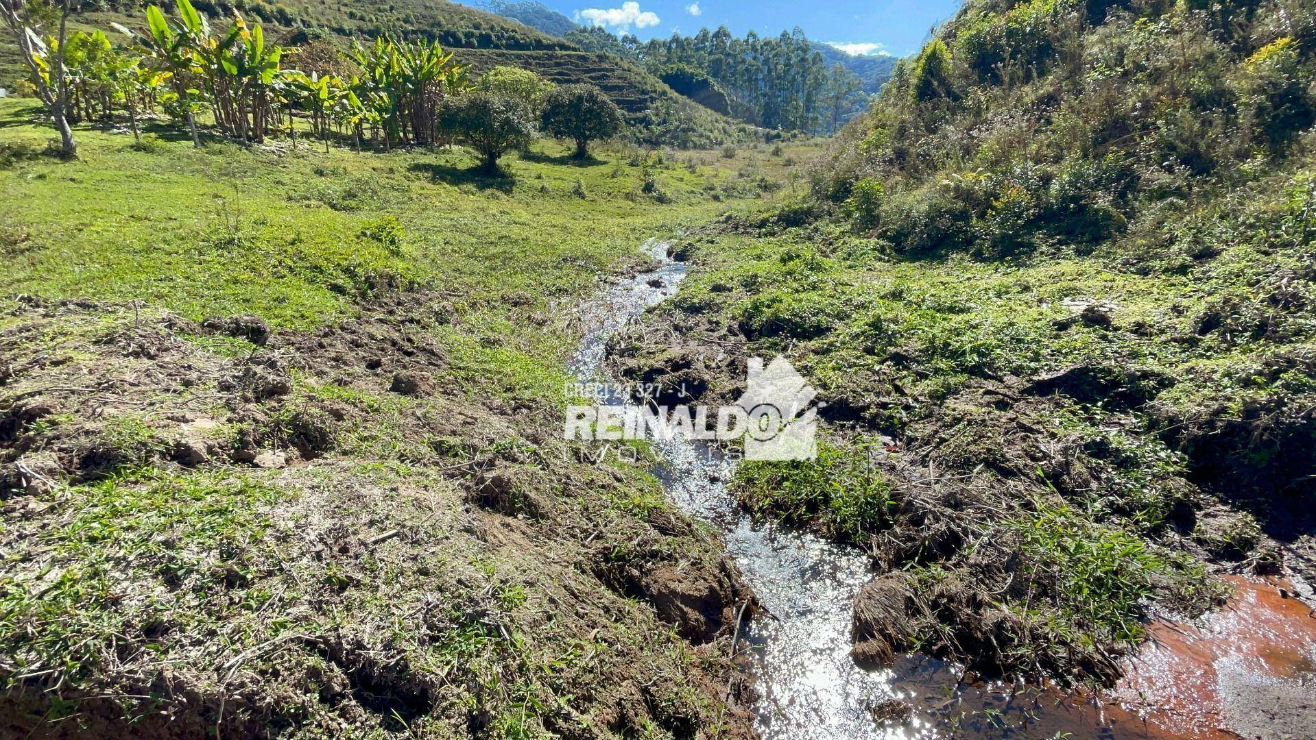 Fazenda à venda com 8 quartos, 900m² - Foto 12