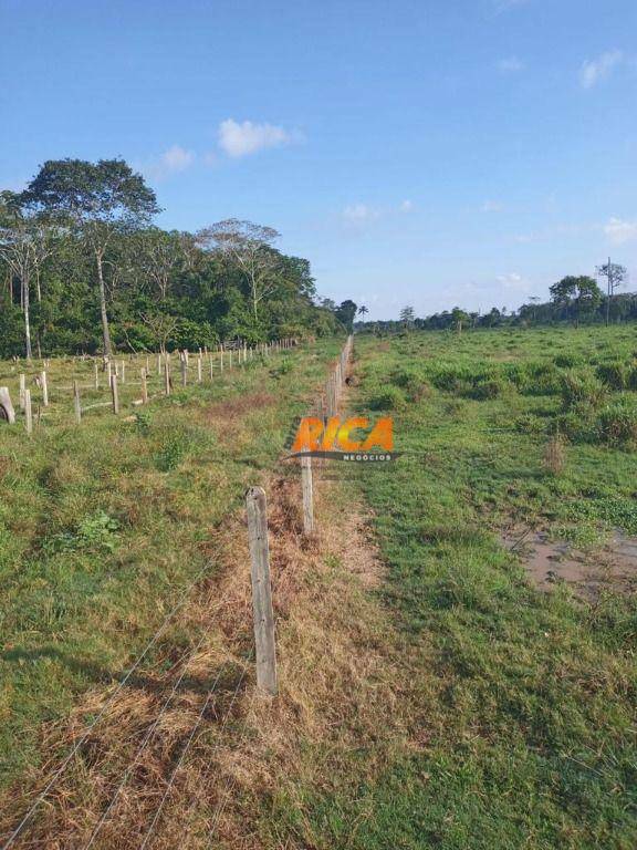 Fazenda à venda, 4530000M2 - Foto 14