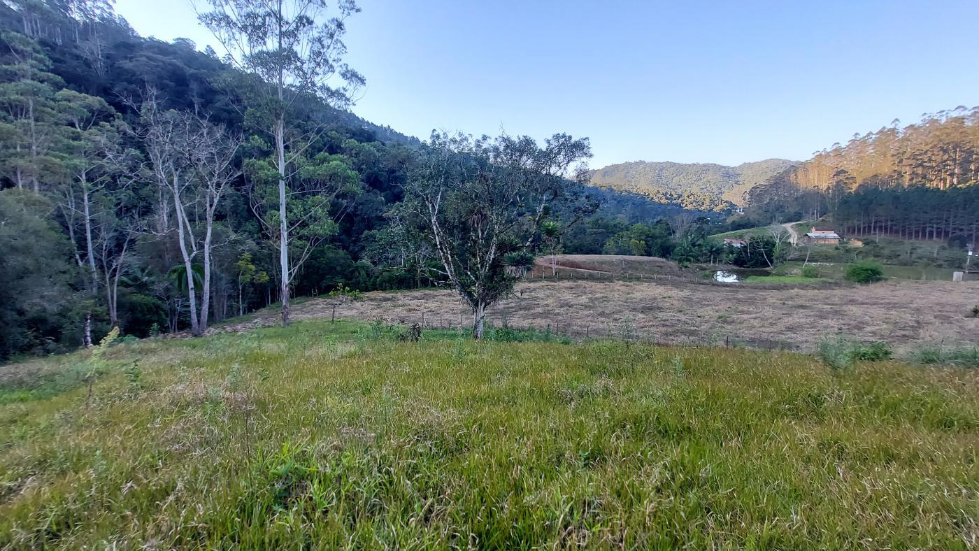 Fazenda à venda com 3 quartos, 140000m² - Foto 15