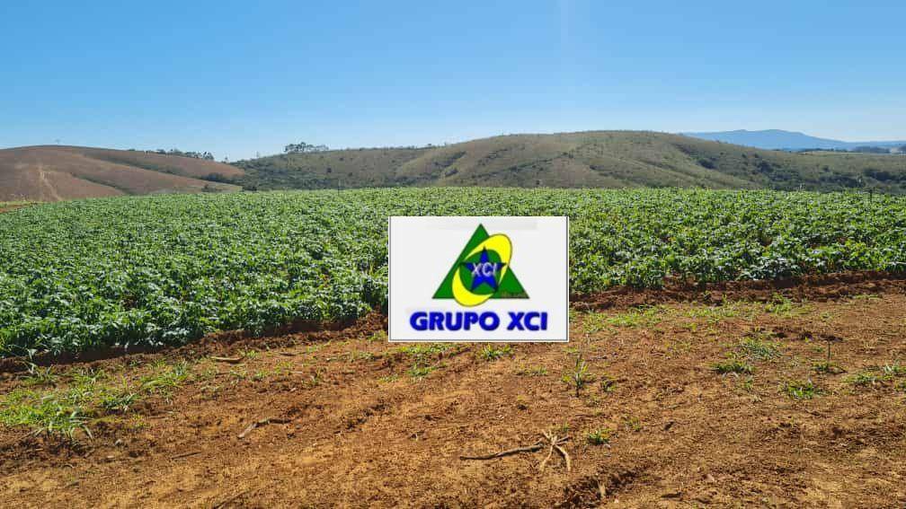 Fazenda à venda, 3800000M2 - Foto 11